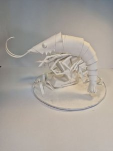 Костылева Ксения. Королева коралловых зарослей (1)