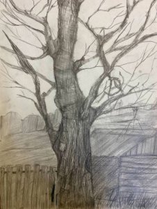 Костырева Ксения - Дерево в деревне
