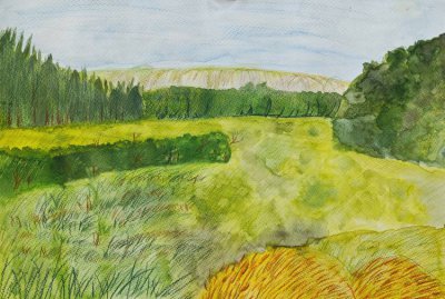 Кокорина Варвара - На полях