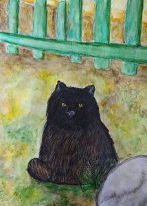Пархаева Мария - Кот Черныш